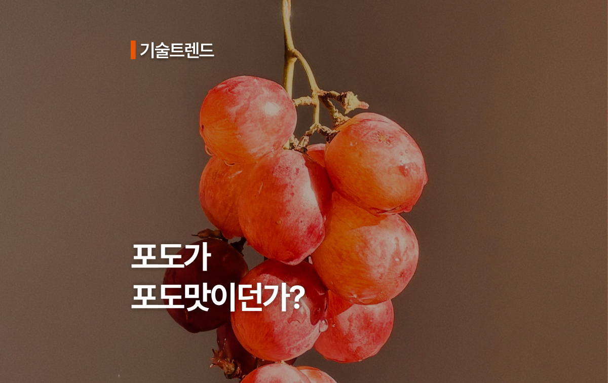포도가 포도맛이던가?